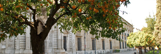 Rectory courtyard and orange trees
